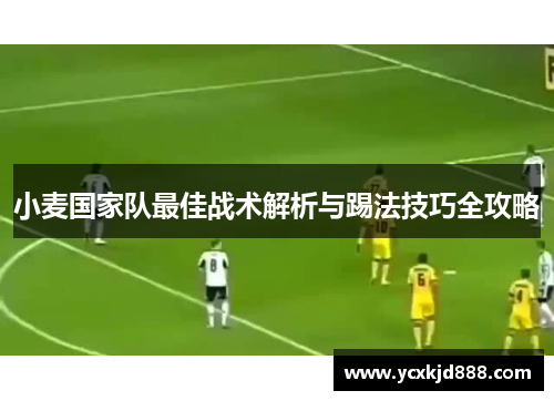 小麦国家队最佳战术解析与踢法技巧全攻略 小麦国家队最佳战术解析与踢法技巧全攻略