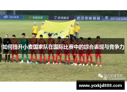 如何提升小麦国家队在国际比赛中的综合表现与竞争力